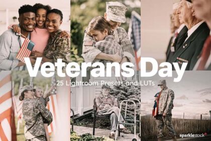 Veterans Day Lightroom Presets LUTs Free Download